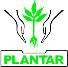 Plantar